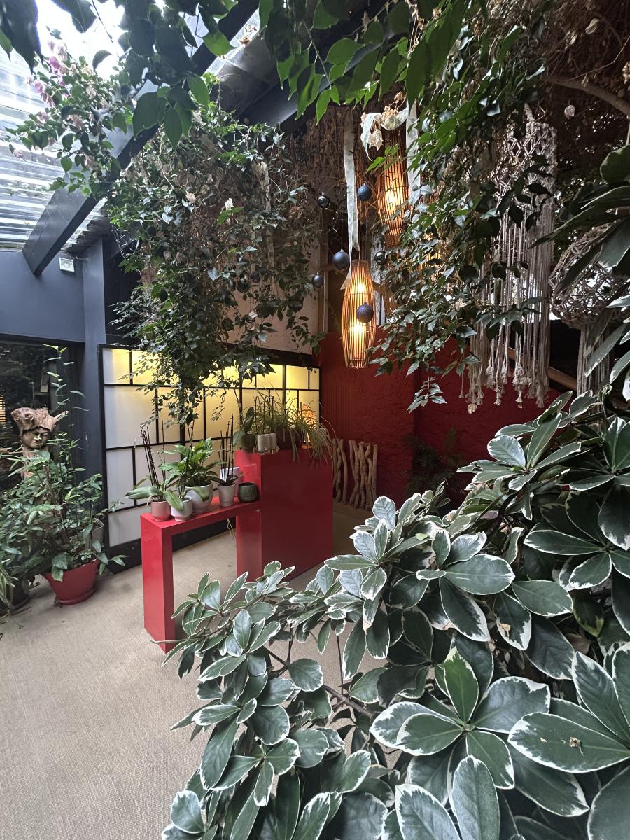Maison restaurant